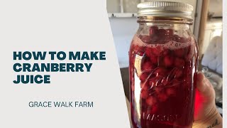 How To Make Cranberry Juice [upl. by Ellette]