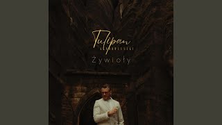 Żywioły [upl. by Nosyaj984]