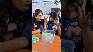 CAKE 🎂 cover life hack 😱TomampJerry 👍DiyaIshwarya shorts viralvideo [upl. by Ybok]