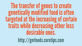 Genetically Modified Food [upl. by Nerrawed]