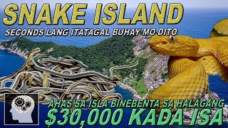 SNAKE ISLAND  Segundo LANG itatagal ng BUHAY mo dito   Jevara PH [upl. by Adiesirb]