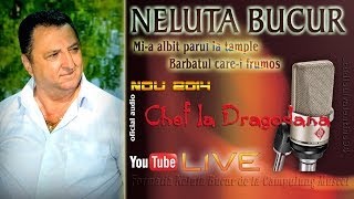 NELUTA BUCUR  Mia albit parul la tample  Barbatul carei frumos live audio [upl. by Kram]