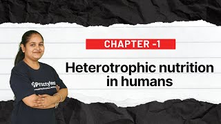 Mastering CBSE Class 10 Biology Heterotrophic Nutrition in Humans [upl. by Ettennaj]