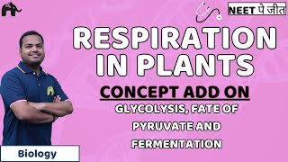 Respiration in Plants NEET Concept Add OnGlycolysis Fate of Pyruvate and Fermentation  Biology [upl. by Ennaitsirk951]