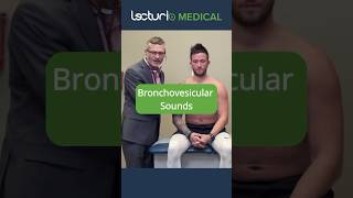 Discover Bronchovesicular Breath Sounds 🫁 doctor usmle [upl. by Nyletak]