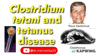 Clostridium tetani and tetanus disease I Tetanus toxin I Audio [upl. by Boice]