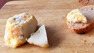 How to make cheese without rennet [upl. by Aratahs884]