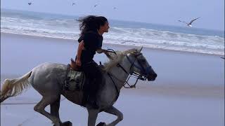 Day 3 Horse Trekking in Morocco [upl. by Berlauda]