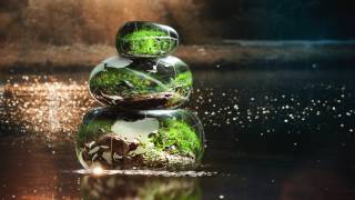 Tranquil Calming Sleep Tones  Anxiety Relief Sleep Relaxation Music Solfeggio 741Hz Calm Energy [upl. by Airamat789]