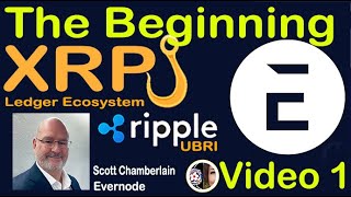 40k XRP Holders Ready to Receive Airdrop from Ripple Funded Research EVERNODE NOW on HOOKS Xahau [upl. by Eelirol]