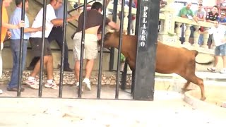 TREMENDO SUSTO EN ANNA IMPRESIONANTE PUEBLO Y SUS GENTES TOROS TV [upl. by Gusta]