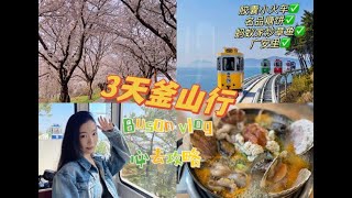 釜山行3天攻略！初到釜山怎么玩？美食必吃｜交通攻略｜私藏打卡点 ｜樱花季｜广安里 [upl. by Ayim]