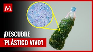 Plástico vivo Innovación para combatir la contaminación ambiental [upl. by Roderigo]