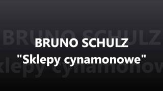 Bruno Schulz  Sklepy cynamonowe Fragment czyta Cezary Łasiczka [upl. by Sabu260]