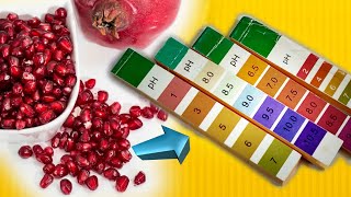 How to make pH Paper at Home  Litmus paper prepared using pomegranate juice [upl. by Ailama]