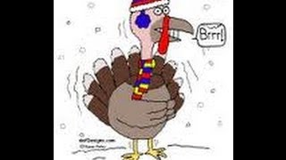 Cold Turkey funniest Thanksgiving song ever written amp performed by Bucky Habanero [upl. by Aistek]