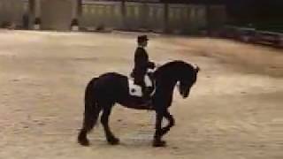 Friesian horse dressage [upl. by Shaina172]