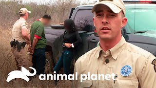 Capturan a inmigrantes que atravesaban un rancho  Guardianes de Texas  Animal Planet [upl. by Base]