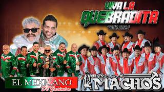 Quebradita Mix De Los 90 Exitos  Quebraditas Mix  El Mexicano Banda Machosy Mas [upl. by Jew]