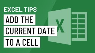 Excel Quick Tip Add the Current Date to a Cell [upl. by Suiradel]