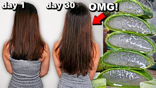 30 DAYS OF ALOE VERA FOR HAIR GROWTH BEFORE AND AFTER RESULTS [upl. by Enedan749]