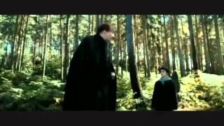 Best of RiffTraxs Harry Potter and the Prisoner of Azkaban [upl. by Annavas]