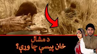 د مشال خان پیسې چا وړې؟ Pashto Drama  ZHOBAL GULOONA  Arbaz Khan [upl. by Kong365]