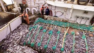 Life On Alaskas Largest Deepsea Trawling Vessel  Fish Factory On the High Seas [upl. by Yesor]