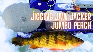 Jigging Jaw Jacker Jumbo Perch [upl. by Weiss]