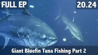 Giant Bluefin Tuna Fishing Part 2 [upl. by Wane]