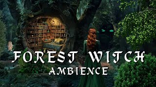 Forest Witch Ambience 🌲 Witchcraft Meditation with Forest Sounds amp Rain  🍃 Reading Nook in Nature [upl. by Gerkman344]