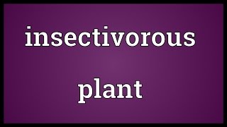 Insectivorous plant Meaning [upl. by Natsreik394]