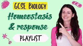 Homeostasis and Response GCSE Biology amp Combined Science 91 Playlist Thankyou [upl. by Maris]