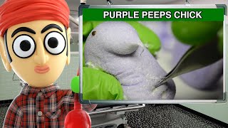 Peeps Purple Marshmallow Chicks  Runforthecube Candy Review [upl. by Wilfreda861]