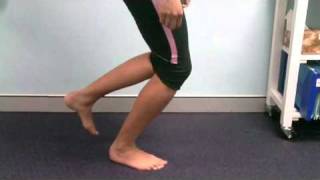 17 Physiotherapy North Sydney Patella Tendon Injury Exercise [upl. by Thisbe286]