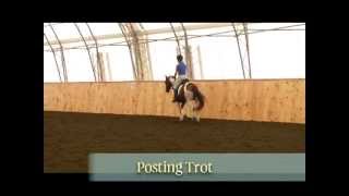 Posting and Sitting Trot  40 Fundamentals of English Riding [upl. by Gerome]