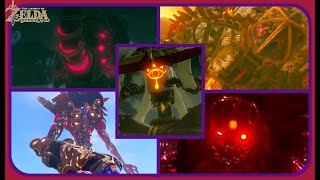 The Legend of Zelda Breath of The Wild  All Boss Encounters  Master Mode  No Damage [upl. by Nojid724]