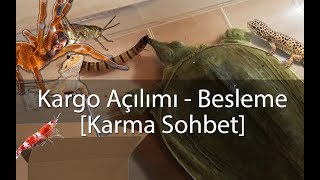 Paket Açılımı  Besleme VLOG  Agresif Kaplumbağa  Karidesler  Akrep vs [upl. by Avilo]