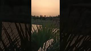 منتزه وجدة الايكولوجية Parc écologique oujda [upl. by Hniht749]