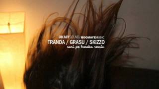 Tranda  Grasu XXL  Skizzo Skillz  Sari Pe Treaba Remix [upl. by Linsk]