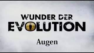 Wunder Evolution Teil 1 Augen History Channel Dokumentation [upl. by Ahsenrac]