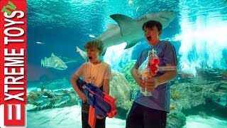 Teleport Trouble Part 2 Nerf Battle in the Aquarium [upl. by Elleral939]