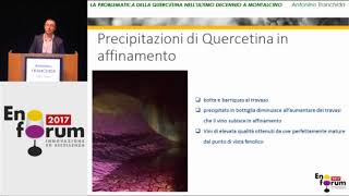 Esperienze di stabilizzazione della quercetina su Brunello di Montalcino [upl. by Imalda]