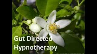 Gut Directed Hypnotherapy [upl. by Nytnerb]