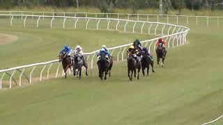 Mareeba 20240526 Race 1 [upl. by Anairo390]