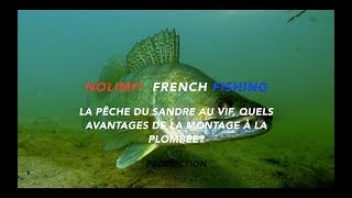 La pêche du sandre au vif  quel avantages du montage à la plombée  perche  brochet [upl. by Treboh]