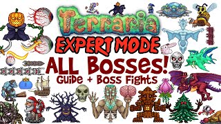 Terraria All Bosses In Order Expert Mode Guide amp Fights Easiest to Hardest How to Spawn Them [upl. by Germayne]