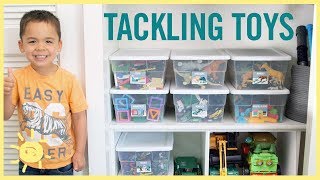 ORGANIZE  Tackling the Toys [upl. by Yrak]