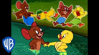 Tom amp Jerry  Best of Jerry and Little Quacker  Classic Cartoon Compilation  WB Kids [upl. by Ahsinaj476]