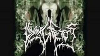 Dying Fetus  Bathe in Entrails [upl. by Ahsirpac]